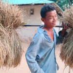 আমন ধান ঘরে তুলতে ব্যস্ত সময় পার করছেন কৃষকরা